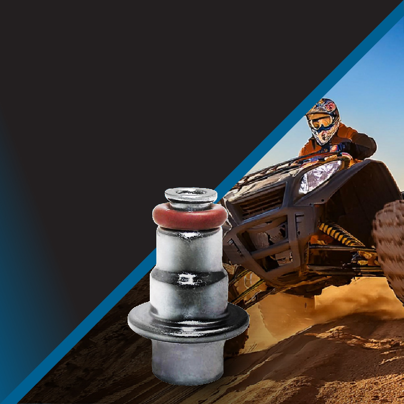 shop Fuel Pressure Regulators from qfs
